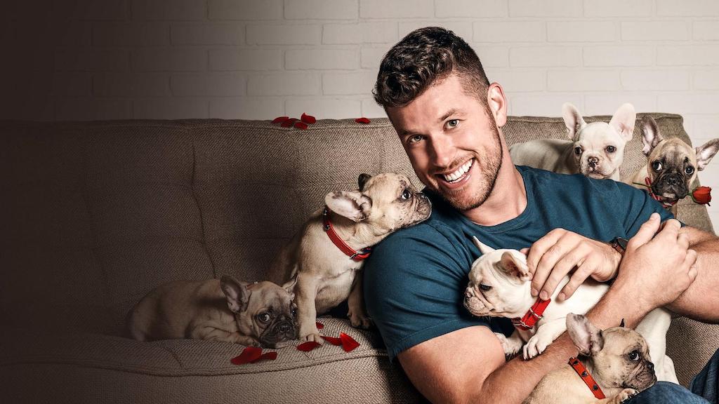 Se Bachelor USA – Sådan kan du se Amerikansk Bachelor i Danmark